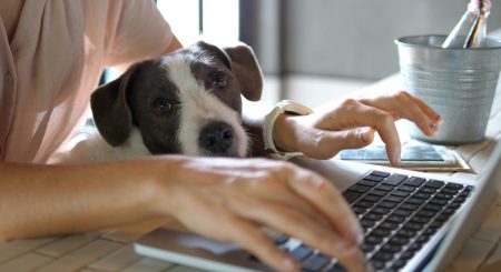 Controle de ponto para home office 2